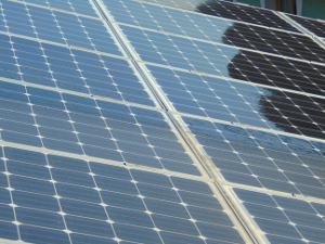 gereinigte PV-Module